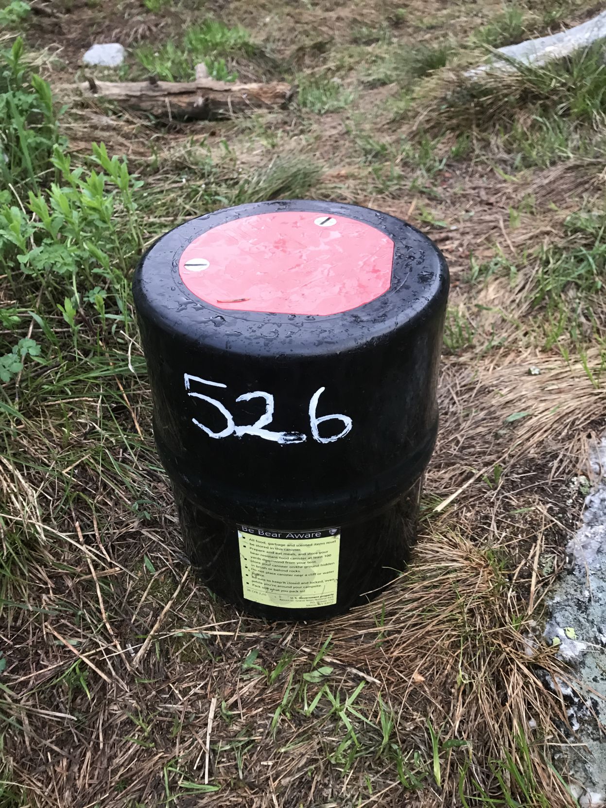Bear canister Tetons